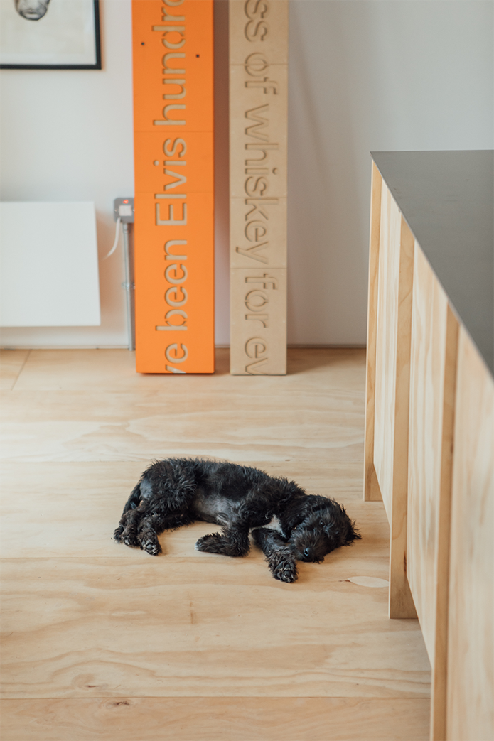 Small black dog lying sleeping on the floor, with two wooden beams propped up in the background